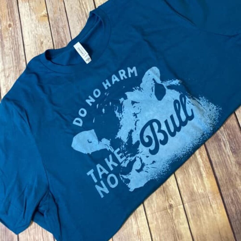 Do No Harm Take No Bull Graphic Tee Shirt Adult XL Teal Blue Western Rodeo